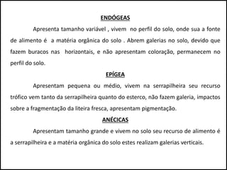 ENDÓGEAS
Apresenta tamanho variável , vivem no perfil do solo, onde sua a fonte
de alimento é a matéria orgânica do solo . Abrem galerias no solo, devido que
fazem buracos nas horizontais, e não apresentam coloração, permanecem no
perfil do solo.
EPÍGEA
Apresentam pequena ou médio, vivem na serrapilheira seu recurso
trófico vem tanto da serrapilheira quanto do esterco, não fazem galeria, impactos
sobre a fragmentação da liteira fresca, apresentam pigmentação.
ANÉCICAS
Apresentam tamanho grande e vivem no solo seu recurso de alimento é
a serrapilheira e a matéria orgânica do solo estes realizam galerias verticais.
 