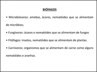 BIÓFAGOS
• Microbióvoros: amebas, ácaros, nematóides que se alimentam
de micróbios;
• Fungívoros: ácaros e nematóides que se alimentam de fungos
• Fitófagos: insetos, nematóides que se alimentam de plantas.
• Carnívoros: organismos que se alimentam de carne como alguns
nematóides e aranhas.
 