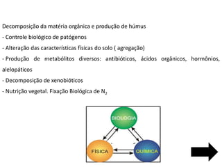 Decomposição da matéria orgânica e produção de húmus
- Controle biológico de patógenos
- Alteração das características físicas do solo ( agregação)
- Produção de metabólitos diversos: antibióticos, ácidos orgânicos, hormônios,
alelopáticos
- Decomposição de xenobióticos
- Nutrição vegetal. Fixação Biológica de N2
 