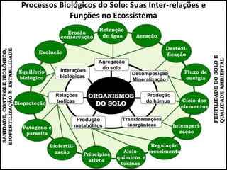 Processos Biológicos do Solo: Suas Inter-relações e
Funções no Ecossistema
 