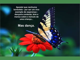 Apostei que nenhuma
borboleta - por ser um vivo
exemplo de esperança -
dançaria contente, leve e
mansa sobre o túmulo de
uma criança...
Mas dança.
 