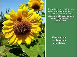 Em tudo vemos, enfim, umaEm tudo vemos, enfim, uma
correlação de forças físicascorrelação de forças físicas
que abrange num mesmoque abrange num mesmo
sistema a totalidade da vidasistema a totalidade da vida
sob a comunhão dassob a comunhão das
mesmas leis.mesmas leis.
Que são asQue são as
soberanassoberanas
leis divinas.leis divinas.
 