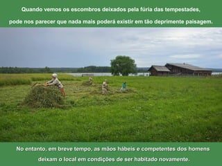 Quando vemos os escombros deixados pela fúria das tempestades,
pode nos parecer que nada mais poderá existir em tão deprimente paisagem.
No entanto, em breve tempo, as mãos hábeis e competentes dos homensNo entanto, em breve tempo, as mãos hábeis e competentes dos homens
deixam o local em condições de ser habitado novamente.deixam o local em condições de ser habitado novamente.
 