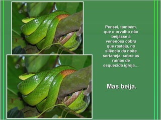 PPeennsseeii,, ttaammbbéémm,, 
qquuee oo oorrvvaallhhoo nnããoo 
bbeeiijjaassssee aa 
vveenneennoossaa ccoobbrraa 
qquuee rraasstteejjaa,, nnoo 
ssiillêênncciioo ddaa nnooiittee 
sseerrttaanneejjaa,, ssoobbrree aass 
rruuíínnaass ddee 
eessqquueecciiddaa iiggrreejjaa…… 
MMaass bbeeiijjaa.. 
 