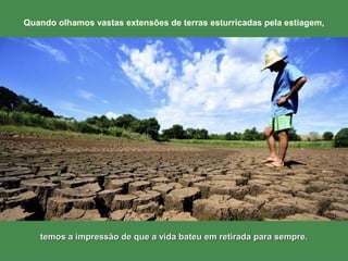 Quando olhamos vastas extensões de terras esturricadas pela estiagem, 
d temos a impressão dee qquuee aa vviiddaa bbaatteeuu eemm rreettiirraaddaa ppaarraa sseemmpprree.. 
 