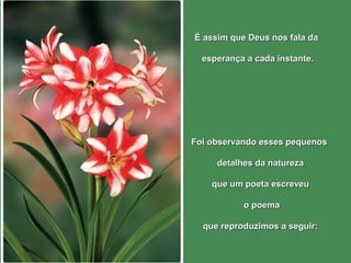 ÉÉ aassssiimm qquuee DDeeuuss nnooss ffaallaa ddaa 
eessppeerraannççaa aa ccaaddaa iinnssttaannttee.. 
FFooii oobbsseerrvvaannddoo eesssseess ppeeqquueennooss 
ddeettaallhheess ddaa nnaattuurreezzaa 
qquuee uumm ppooeettaa eessccrreevveeuu 
oo ppooeemmaa 
qquuee rreepprroodduuzziimmooss aa sseegguuiirr:: 
 