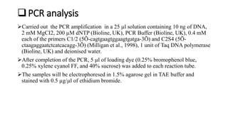 PCR analysis
Carried out the PCR amplification in a 25 µl solution containing 10 ng of DNA,
2 mM MgCI2, 200 µM dNTP (Bioline, UK), PCR Buffer (Bioline, UK), 0.4 mM
each of the primers C1/2 (5Õ-cagtgaagtggaagtgatga-3Õ) and C2S4 (5Õ-
ctaagaggaatctcatcacagg-3Õ) (Milligan et al., 1998), 1 unit of Taq DNA polymerase
(Bioline, UK) and deionised water.
After completion of the PCR, 5 µl of loading dye (0.25% bromophenol blue,
0.25% xylene cyanol FF, and 40% sucrose) was added to each reaction tube.
The samples will be electrophoresed in 1.5% agarose gel in TAE buffer and
stained with 0.5 µg/µl of ethidium bromide.
 