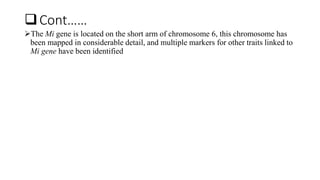 Cont……
The Mi gene is located on the short arm of chromosome 6, this chromosome has
been mapped in considerable detail, and multiple markers for other traits linked to
Mi gene have been identified
 