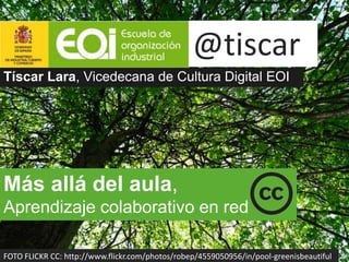 @tiscar
Tíscar Lara, Vicedecana de Cultura Digital EOI




Más allá del aula,
Aprendizaje colaborativo en red

FOTO FLICKR CC: http://www.flickr.com/photos/robep/4559050956/in/pool-greenisbeautiful
 