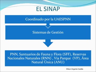 EL SINAP Wilson Angarita Castilla 
