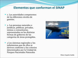 Elementos que conforman el SINAP 1.  Las autoridades competentes de los diferentes niveles de gestión; 2. Las personas naturales o jurídicas, públicas, privadas, mixtas o comunitarias, representadas en las distintas formas de gobierno de las categorías de áreas protegidas. 3 Los sistemas regionales y los subsistemas que de ellos se deriven conforme a los criterios determinados por la Unidad de Parques Nacionales Naturales Wilson Angarita Castilla 