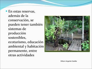 En estas reservas, además de la conservación, se pueden tener también sistemas de producción sostenibles, ecoturismo, educación ambiental y habitación permanente, entre otras actividades Wilson Angarita Castilla 