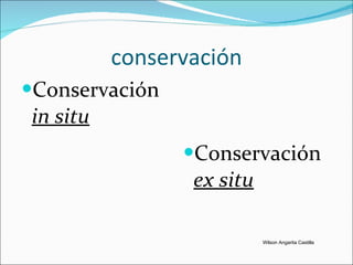 conservación Conservación  in situ Conservación  ex situ Wilson Angarita Castilla 
