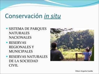 Conservación  in situ SISTEMA DE PARQUES NATURALES NACIONALES RESERVAS REGIONALES Y MUNICIPALES RESERVAS NATURALES DE LA SOCIEDAD CIVIL Wilson Angarita Castilla 