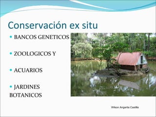 Conservación ex situ BANCOS GENETICOS ZOOLOGICOS Y  ACUARIOS JARDINES  BOTANICOS Wilson Angarita Castilla 