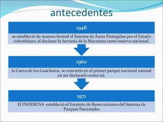 antecedentes 