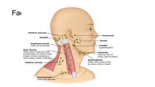 Factores predisponentes
 