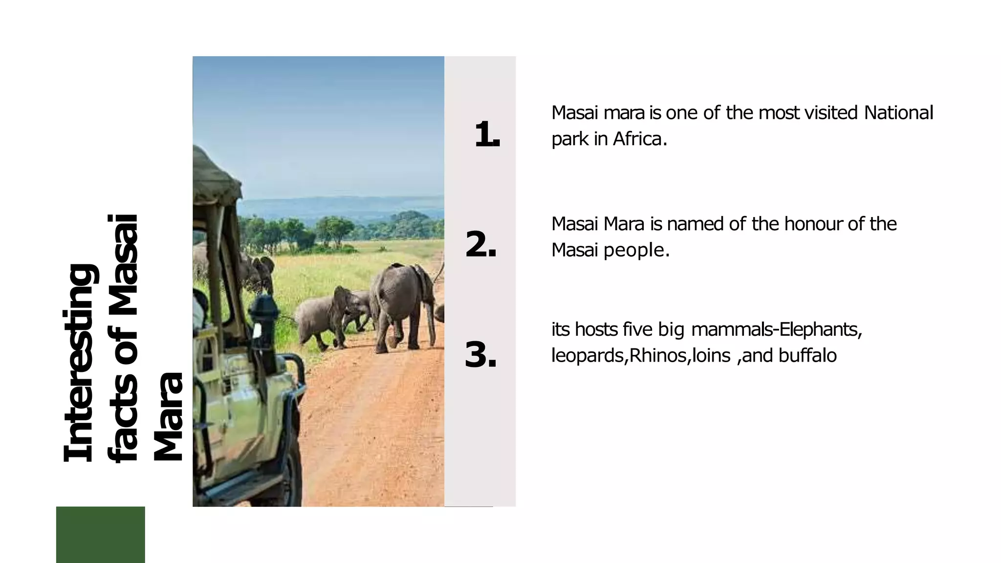MASAI Mara PPT