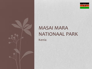 MASAI MARA
NATIONAAL PARK
Kenia
 