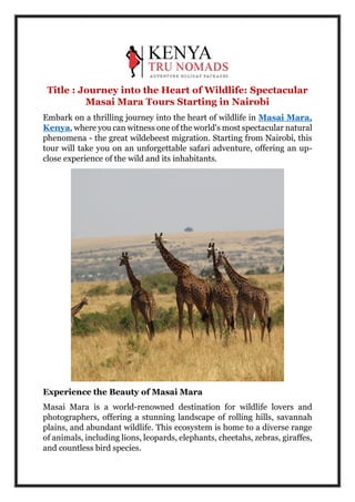 Title : Journey into the Heart of Wildlife: Spectacular
Masai Mara Tours Starting in Nairobi
Embark on a thrilling journey into the heart of wildlife in Masai Mara,
Kenya, where you can witness one of the world's most spectacular natural
phenomena - the great wildebeest migration. Starting from Nairobi, this
tour will take you on an unforgettable safari adventure, offering an up-
close experience of the wild and its inhabitants.
Experience the Beauty of Masai Mara
Masai Mara is a world-renowned destination for wildlife lovers and
photographers, offering a stunning landscape of rolling hills, savannah
plains, and abundant wildlife. This ecosystem is home to a diverse range
of animals, including lions, leopards, elephants, cheetahs, zebras, giraffes,
and countless bird species.
 