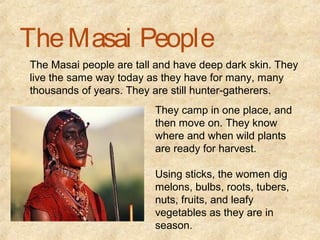 The Masai People
The Masai people are tall and have deep dark skin. They
live the same way today as they have for many, many
thousands of years. They are still hunter-gatherers.
                         They camp in one place, and
                         then move on. They know
                         where and when wild plants
                         are ready for harvest.

                         Using sticks, the women dig
                         melons, bulbs, roots, tubers,
                         nuts, fruits, and leafy
                         vegetables as they are in
                         season.
 