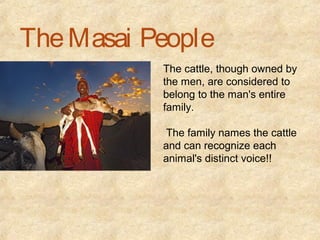 The Masai People
           The cattle, though owned by
           the men, are considered to
           belong to the man's entire
           family.

            The family names the cattle
           and can recognize each
           animal's distinct voice!!
 