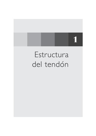 Estructura 
del tendón 
1 
 