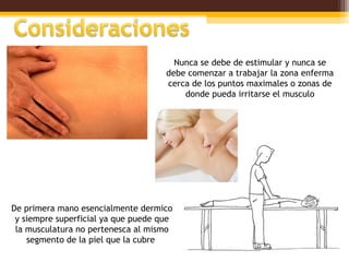 Nunca se debe de estimular y nunca se
                                     debe comenzar a trabajar la zona enferma
                                     cerca de los puntos maximales o zonas de
                                         donde pueda irritarse el musculo




De primera mano esencialmente dermico
 y siempre superficial ya que puede que
 la musculatura no pertenesca al mismo
    segmento de la piel que la cubre
 