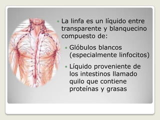 La linfa es un líquido entre transparente y blanquecino compuesto de: