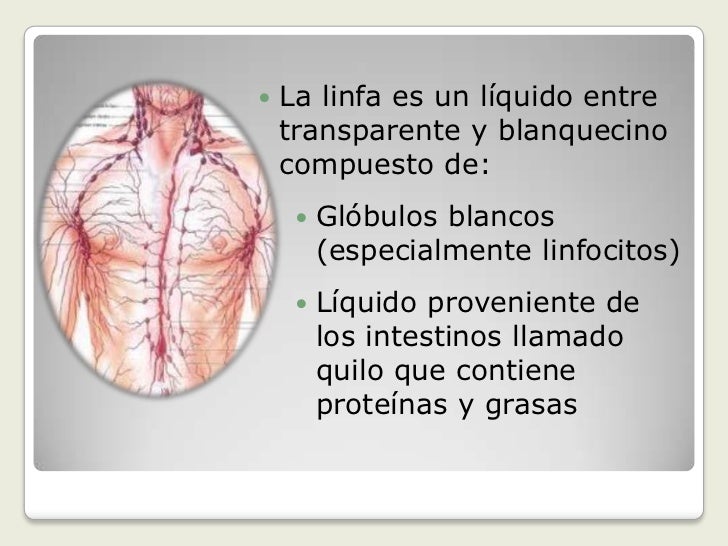 el drenaje linftico manual Drenaje linfático manual medstetic panamá.