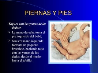 PIERNAS Y PIES   Toques con las yemas de los dedos:   L a mano derecha toma el pie izquierdo  del bebé; Nuestra mano izquierda  formara un pequeño brazalete, haciendo todo con las yemas de los dedos, desde el muslo hacia el tobillo . 