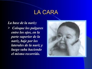 LA CARA La base de la nariz: Coloque los pulgares entre los ojos, en la parte superior de la nariz, baje por los laterales de la nariz y luego suba haciendo el mismo recorrido.   