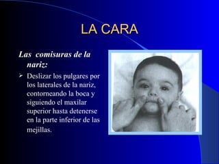 LA CARA Las  comisuras de la nariz:   Deslizar los pulgares por los laterales de la nariz, contorneando la boca y siguiendo el maxilar superior hasta detenerse en la parte inferior de las mejillas.   