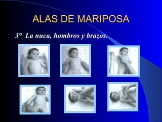 ALAS DE MARIPOSA 3°  La nuca,   hombros y brazos . 