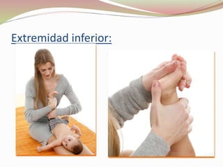 Extremidad inferior:
 