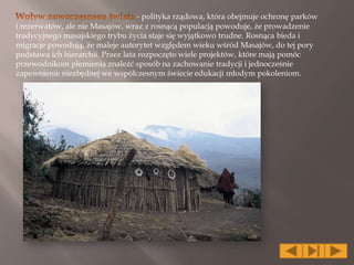 - polityka rządowa, która obejmuje ochronę parków
i rezerwatów, ale nie Masajów, wraz z rosnącą populacją powoduje, że prowadzenie
tradycyjnego masajskiego trybu życia staje się wyjątkowo trudne. Rosnąca bieda i
migracje powodują, że maleje autorytet względem wieku wśród Masajów, do tej pory
podstawa ich hierarchii. Przez lata rozpoczęto wiele projektów, które mają pomóc
przewodnikom plemienia znaleźć sposób na zachowanie tradycji i jednocześnie
zapewnienie niezbędnej we współczesnym świecie edukacji młodym pokoleniom.
 