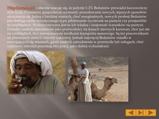 - obecnie szacuje się, że jedynie 1-2% Beduinów prowadzi koczowniczy
tryb życia. Przemiany gospodarcze wymusiły poszukiwanie nowych, lepszych sposobów
utrzymania się. Jedną z bardziej znanych, choć marginalnych, nowych profesji Beduinów
jest obsługa ruchu turystycznego typu pilotowanie wycieczek na pustyni czy przejażdżki
na wielbłądach. Wykorzystywana jest tu ich wiedza i znajomość warunków na pustyni.
Ponadto znaleźli zatrudnienie jako przewoźnicy na trasach dawnych karawan, choć już nie
na wielbłądach, lecz nowoczesnymi środkami transportu masowego. Są też pracownikami
na plantacjach daktyli i trzciny cukrowej. Jednak najwięcej Beduinów osiadło w
rozwijających się miastach, gdzie znaleźli zatrudnienie w przemyśle lub usługach, choć
częściowo również pozostają bez pracy, jako słabiej wykształceni.
 