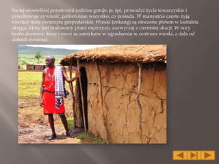 Na tej niewielkiej przestrzeni rodzina gotuje, je, śpi, prowadzi życie towarzyskie i
przechowuje żywność, paliwo oraz wszystko, co posiada. W manyatcie często żyją
również małe zwierzęta gospodarskie. Wioski (enkang) są otoczone płotem w kształcie
okręgu, który jest budowany przez mężczyzn, zazwyczaj z ciernistej akacji. W nocy
bydło domowe, kozy i owce są zamykane w ogrodzeniu w centrum wioski, z dala od
dzikich zwierząt.
 