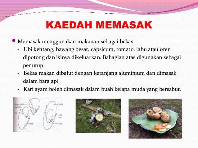 Masakan rimba solar Masakan rimba solar