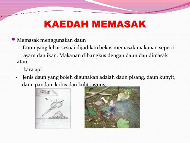 Masakan Rimba Solar