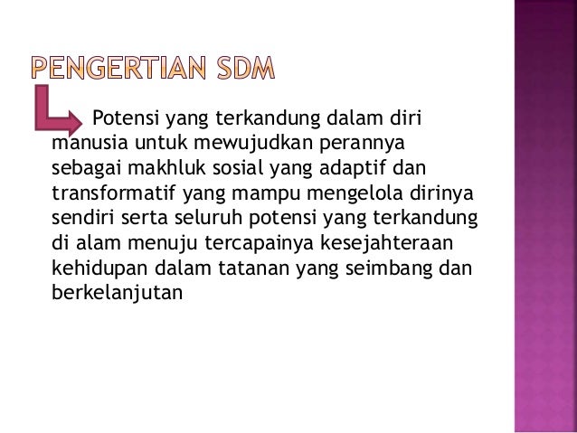 Masalah Dan Kebijakan Sumberdaya Manusia