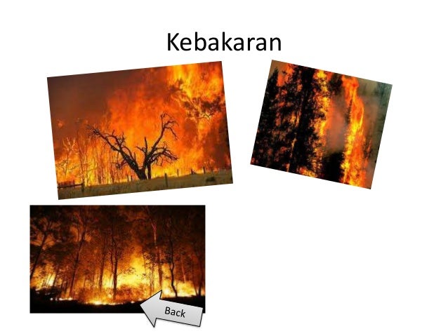 Masalah lingkungan hidup Masalah lingkungan hidup