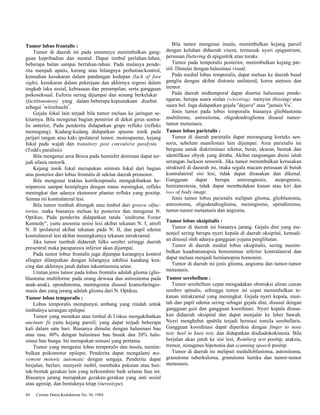 Tumor lobus frontalis : 
Tumor di daerah ini pada umumnya menimbulkan gang-guan 
kepribadian dan mental. Dapat timbul perlahan-lahan, 
beberapa bulan sampai bertahun-tahun. Pada mulanya pende-rita 
menjadi apatis, kurang atau hilangnya perhatian/kontrol, 
kemudian kesukaran dalam pandangan kedepan (lack of fore 
sight), kesukaran dalam pekerjaan dan akhirnya regresi dalam 
tingkah laku sosial, kebiasaan dan penampilan, serta gangguan 
psikoseksual. Euforia sering dijumpai dan senang berkelakar 
(factitiousness) yang dalam beberapa kepustakaan disebut 
sebagai "witzelsucht". 
Gejala fokal lain terjadi bila tumor meluas ke jaringan se-kitarnya. 
Bila mengenai bagian posterior di dekat girus sentra-lis 
anterior, Pada penderita didapatkan graps refleks (refleks 
memegang). Kadang-kadang didapatkan spasme tonik pada 
jarijari tangan atau kaki ipsilateral tumor, monospasme, kejang 
fokal pada wajah dan transitory post convulsive paralysis 
(Todd's paralisis). 
Bila mengenai area Broca pada hemisfer dominan dapat ter-jadi 
afasia motorik. 
Kejang tonik fokal merupakan simtom fokal dari bagian 
atas posterior dari lobus frontalis di sekitar daerah premotor. 
Bila mengenai traktus kortikospinalis mengakibatkan he-miparesis 
sampai hemiplegia dengan tonus meningkat, refleks 
meningkat dan adanya ekstensor plantar refleks yang positip. 
Semua ini kontralateral lesi. 
Bila tumor tumbuh ditengah atau timbul dari groove olfac-torius, 
maka biasanya meluas ke posterior dan mengenai N. 
Optikus. Pada penderita didapatkan tanda "sindroma Foster 
Kennedy", yaitu anosmia sesisi lesi akibat tekanan N. I, atrofi 
N. II ipsilateral akibat tekanan pada N. II, dan papil edema 
kontralateral lesi akibat meningkatnya tekanan intrakranial. 
Jika tumor tumbuh didaerah falks serebri setinggi daerah 
presentral maka paraparesis inferior akan dijumpai. 
Pada tumor lobus frontalis juga dijumpai kurangnya kontrol 
sfingter dilanjutkan dengan hilangnya inhibisi kandung ken-cing 
dan akhirnya jatuh dalam inkontinensia urine. 
Urutan jenis tumor pada lobus frontalis adalah glioma (glio-blastoma 
multiforme pada orang dewasa dan astrositoma pada 
anak-anak), ependimoma, meningisma disusul kraniofaringio-masis 
dan yang jarang adalah glioma dari N. Optikus. 
Tumor lobus temporalis : 
Lobus temporalis mempunyai ambang yang rendah untuk 
timbulnya serangan epilepsi. 
Tumor yang menekan atau timbul di Unkus mengakibatkan 
uncinate fit yaitu kejang parsiil, yang dapat terjadi beberapa 
kali dalam satu hari. Biasanya dimulai dengan halusinasi bau 
atau rasa. 80% dengan halusinasi bau busuk dan 20% halu-sinasi 
bau bunga. Ini merupakan sensasi yang pertama. 
Tumor yang mengenai lobus temporalis dan insula, menim-bulkan 
psikomotor epilepsi. Penderita dapat mengalami mo-vement 
motoric automatic dengan sengaja. Penderita dapat 
berjalan, berlari, menyetir mobil, membuka pakaian atau ben-tuk- 
bentuk gerakan lain yang terkoordinir baik selama fase ini. 
Biasanya jarang merupakan gerakan-gerakan yang anti sosial 
atau agresip, dan bentuknya tetap (stereotype). 
44 Cermin Dania Kedokteran No. 34, 1984 
Bila tumor mengenai insula, menimbulkan kejang parsiil 
dengan keluhan didaerah visera, termasuk nyeri epigastrium, 
perasaan fluttering di epigastrik atau toraks. 
Tumor pada temporalis posterior, menimbulkan kejang par-siil. 
Dimulai dengan halusinasi visual. 
Pada medial lobus temporalis, dapat meluas ke daerah basal 
ganglia dengan akibat distonia unilateral, korea atetosis dan 
tremor. 
Pada daerah midtemporal dapat disertai halusinasi pende-ngaran, 
berupa suara siulan (whistling), menyiut (hissing) atau 
suara bel. Juga didapatkan gejala "dejavu" atau "jamais Vu". 
Jenis tumor pada lobus temporalis biasanya glioblastoma 
multiforme, astrositoma, oligodendroglioma disusul tumor-tumor 
metastasis. 
Tumor lobus parietalis : 
Tumor di daerah parietalis dapat merangsang korteks sen-soris, 
sebelum manifestasi lain dijumpai. Area parietalis ini 
berguna untuk diskriminasi tekstur, berat, ukuran, bentuk dan 
identifikasi obyek yang diraba. Akibat rangsangan disini ialah 
serangan Jackson sensorik. Jika tumor menimbulkan kerusakan 
strukturil di daearah ini, maka segala macam perasaan di butuh 
kontralateral sisi lesi, tidak dapat dirasakan dan dikenal. 
Gangguan dapat berupa astereognosis, atopognosis, 
hemianestesia, tidak dapat membedakan kanan atau kiri dan 
loss of body image. 
Jenis tumor lobus parietalis meliputi glioma, glioblastoma, 
astrositoma, oligodendroglioma, meningioma, ependimoma, 
tumor-tumor metastasis dan angioma. 
Tumor lobus oksipitalis : 
Tumor di daerah ini biasanya jarang. Gejala dini yang me-nonjol 
sering berupa nyeri kepala di daerah oksipital, kemudi-an 
disusul oleh adanya gangguan yojana penglihatan. 
Tumor di daerah medial lobus oksipitalis, sering menim-bulkan 
kuadrananopsia homonimus inferior kontralateral dan 
dapat meluas menjadi hemianopsia homonim. 
Tumor di daerah ini jenis glioma, angioma dan tumor-tumor 
metastasis. 
Tumor serebellum : 
Tumor serebellum cepat mengadakan obstruksi aliran cairan 
serebro spinalis, sehingga tumor ini cepat menimbulkan te-kanan 
intrakranial yang meningkat. Gejala nyeri kepala, mun-tah 
dan papil edema sering sebagai gejala dini, disusul dengan 
gangguan gait dan gangguan koordinasi. Nyeri kepala dirasa-kan 
didaerah oksipital dan dapat menjalar ke leher bawah. 
Nyeri menghebat apabila terjadi herniasi tonsila serebellaris. 
Gangguan koordinasi dapat diperiksa dengan finger to nose 
test; heel to knee test, dan didapatkan disdiadokokinesia. Bila 
berjalan akan jatuh ke sisi lesi, Romberg test positip, ataksia, 
tremor, nistagmus hipotonia dan scanning speech positip. 
Tumor di daerah ini meliputi medulloblastoma, astrositoma, 
granuloma tuberkuloma, granuloma luetika dan tumor-tumor 
metastasis. 
 