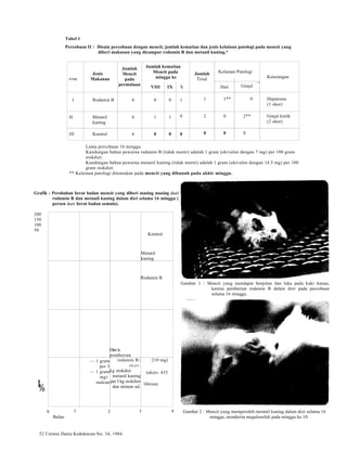 Tabel 1 
Percobaan II : Disain percobaan dengan mencit, jumlah kematian dan jenis kelainan patologi pada mencit yang 
diberi makanan yang dicampur rodamin B dan metanil kuning.* 
Grup 
Jenis 
Makanan 
Jumlah 
Mencit 
pada 
permulaan 
Jumlah kematian 
Mencit pada 
minggu ke 
Jumlah 
Total 
Kelainan Patologi 
Keterangan 
_ 
VIII IX X Hati Ginjal 
I Rodamin B 6 0 0 1 1 1** 0 Hepatoma 
(1 ekor) 
H Metanil 
kuning 
6 1 1 0 2 0 2** Ginjal kistik 
(2 ekor) 
III Kontrol 6 0 0 0 0 0 0 
Lama percobaan 16 minggu 
Kandungan bahan pewarna rodamin B (tidak murni) adalah 1 gram (ekivalen dengan 7 mg) per 100 gram 
stokdiet. 
Kandungan bahan pewarna metanil kuning (tidak murni) adalah 1 gram (ekivalen dengan 14.5 mg) per 100 
gram stokdiet. 
** Kelainan patologi ditemukan pada mencit yang dibunuh pada akhir minggu. 
Grafik : Perobahan berat badan mencit yang diberi masing masing dari 
rodamin B dan metanil kuning dalam diet selama 16 minggu ( 
persen dari berat badan semula). 
Kontrol 
Metanil 
kuning 
Rodamin B 
Diet & 
pemberian 
— 1 gram 
per 3 
— 1 gram 
mg) 
malcan 
rodamin B ( 
ekuiv. 
kg stokdiet 
metanil kuning 
per 3 kg stokdiet 
dan minum ad. 
210 mg) 
(ekuiv. 435 
libitum 
Gambar 1 : Mencit yang mendapat benjolan dan luka pada kaki kanan, 
karena pemberian rodamin B dalam diet pada percobaan 
selama 16 minggu. 
200 
150 
100 
50 
t% 
0 1 2 3 4 
Bulan 
52 Cermin Dunia Kedokteran No. 34, 1984 
Gambar 2 : Mencit yang memperoleh metanil kuning dalam diet selama 16 
minggu, menderita megalosefali pada minggu ke 10. 
 