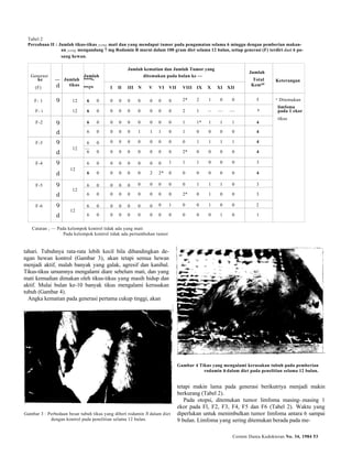 Tabel 2 
Percobaan II : Jumlah tikus-tikus yang mati dan yang mendapat tumor pada pengamatan selama 6 minggu dengan pemberian makan-an 
yang mengandung 7 mg Rodamin B murni dalam 100 gram diet selama 12 bulan, setiap generasi (F) terdiri dari 6 pa-sang 
hewan. 
Cermin Dunia Kedokteran No. 34, 1984 53 
Jumlah kematian dan Jumlah Tumor yang 
Jumlah 
Generasi Jumlah ditemukan pada bulan ke — 
ke —d 
Jumlah 
tikus 
masmg- Total 
Kemtal 
Keterangan 
(F) masing I II III N V VI VII VIII IX X XI XII 
F- 1 9 12 6 0 0 0 0 0 0 0 0 2* 2 1 0 0 5 * Ditemukan 
limfoma 
F- i 12 6 0 0 0 0 0 0 0 0 2 1 — — — 6 pada 1 ekor 
tikus 
F-2 9 6 0 0 0 0 0 0 0 0 1 1* 1 1 1 4 
d 6 0 0 0 0 1 1 1 0 1 0 0 0 0 4 
F-3 9 6 0 0 0 0 0 0 0 0 0 1 1 1 1 4 
12 — 
d 6 0 0 0 0 0 0 0 0 2* 0 0 0 0 4 
F-4 9 6 0 0 0 0 0 0 0 1 1 1 0 0 0 3 
12 
d 6 0 0 0 0 0 2 2* 0 0 0 0 0 0 4 
F-5 9 6 0 0 0 0 0 0 0 0 0 1 1 1 0 3 
12 
d 6 0 0 0 0 0 0 0 0 2* 0 1 0 0 3 
F-6 9 6 0 0 0 0 0 0 0 1 0 0 1 0 0 2 
12 
d 6 0 0 0 0 0 0 0 0 0 0 0 1 0 1 
Catatan ; — Pada kelompok kontrol tidak ada yang mati 
Pada kelompok kontrol tidak ada pertumbuhan tumor 
tahari. Tubuhnya rata-rata lebih kecil bila dibandingkan de-ngan 
hewan kontrol (Gambar 3), akan tetapi semua hewan 
menjadi aktif, malah banyak yang galak, agresif dan kanibal. 
Tikus-tikus umumnya mengalami diare sebelum mati, dan yang 
mati kemudian dimakan oleh tikus-tikus yang masih hidup dan 
aktif. Mulai bulan ke-10 banyak tikus mengalami kerusakan 
tubuh (Gambar 4). 
Angka kematian pada generasi pertama cukup tinggi, akan 
Gambar 3 : Perbedaan besar tubuh tikus yang diberi rodamin B dalam diet 
dengan kontrol pada penelitian selama 12 bulan. 
Gambar 4 Tikus yang mengalami kerusakan tubuh pada pemberian 
rodamin B dalam diet pada penelitian selama 12 bulan. 
tetapi makin lama pada generasi berikutriya menjadi makin 
berkurang (Tabel 2). 
Pada otopsi, ditemukan tumor limfoma masing-.masing 1 
ekor pada Fl, F2, F3, F4, F5 dan F6 (Tabel 2). Waktu yang 
diperlukan untuk menimbulkan tumor limfoma antara 6 sampai 
9 bulan. Limfoma yang sering ditemukan berada pada me- 
 