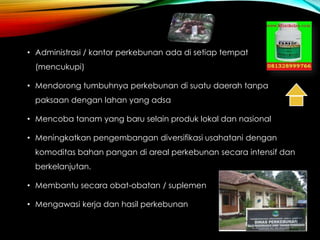 • Administrasi / kantor perkebunan ada di setiap tempat
(mencukupi)
• Mendorong tumbuhnya perkebunan di suatu daerah tanpa
paksaan dengan lahan yang adsa
• Mencoba tanam yang baru selain produk lokal dan nasional
• Meningkatkan pengembangan diversifikasi usahatani dengan
komoditas bahan pangan di areal perkebunan secara intensif dan
berkelanjutan.
• Membantu secara obat-obatan / suplemen
• Mengawasi kerja dan hasil perkebunan
 