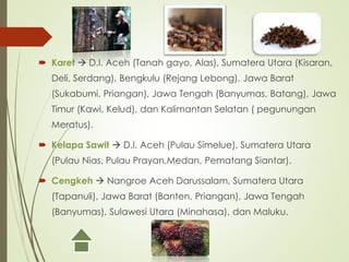  Karet  D.I. Aceh (Tanah gayo, Alas), Sumatera Utara (Kisaran,
Deli, Serdang), Bengkulu (Rejang Lebong), Jawa Barat
(Sukabumi, Priangan), Jawa Tengah (Banyumas, Batang), Jawa
Timur (Kawi, Kelud), dan Kalimantan Selatan ( pegunungan
Meratus).
 Kelapa Sawit  D.I. Aceh (Pulau Simelue), Sumatera Utara
(Pulau Nias, Pulau Prayan,Medan, Pematang Siantar).
 Cengkeh  Nangroe Aceh Darussalam, Sumatera Utara
(Tapanuli), Jawa Barat (Banten, Priangan), Jawa Tengah
(Banyumas), Sulawesi Utara (Minahasa), dan Maluku.
 