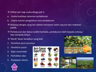  Dilihat dari segi usaha dibagi jadi 2:
a. Usaha budidaya tanaman perkebunan
b. Usaha industri pengolahan hasil perkebunan
 Bedanya dengan yang lain adalah menanam selain sayuran dan makanan
pokok.
 Perkebunan dan kebun sedikit berbeda, perkebunan lebih kepada untung /
laba daripada kebun.
 Teknik2 dasar berkebun yang baik
1. Pemilihan jenis tanaman
2. Pemikiran posisi
3. Rajin memindah
4. Perhatikan akar
5. Perawatan ekstra
 