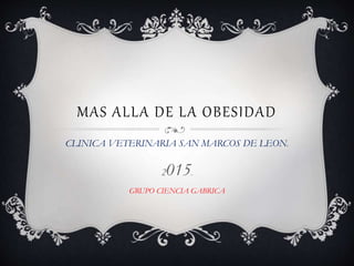 MAS ALLA DE LA OBESIDAD
CLINICA VETERINARIA SAN MARCOS DE LEON.
2015.
GRUPO CIENCIA GABRICA
 
