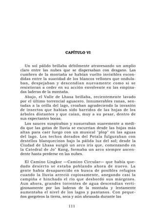 CAPÍTULO VI

                                              —
   Un sol pálido brillaba débilmente atravesando un amplio
claro entre las nubes que se dispersaban con desgano. Las
cumbres de la montaña se habían vuelto invisibles escon-
didas entre la suavidad de los blancos vellones que ondula-
ban, despejaban y descendían nuevamente como si se
resistieran a ceder en su acción envolvente en las empina-
das laderas de la montaña.
   Abajo, el Valle de Lhasa brillaba, recientemente lavado
por el último torrencial aguacero. Innumerables ranas, sen-
tadas a la orilla del lago, croaban agradeciendo la invasión
de insectos que habían sido barridos de las hojas de los
árboles distantes y que caían, muy a su pesar, dentro de
sus expectantes bocas.
   Los sauces suspiraban y susurraban suavemente a medi-
da que las gotas de lluvia se escurrían desde las hojas más
altas para caer luego con un musical "plop" en las aguas
del lago. Los techos dorados del Potala fulguraban con
destellos blanquecinos bajo la pálida luz del sol; desde la
Ciudad de Lhasa surgió un arco iris que, comenzando en
la Catedral de Jo" Kang, formaba un arco siempre ascen-
dente hasta perderse en las nubes.

   El Camino Lingkor —Camino Circular— que había que-
dado desierto se estaba poblando ahora de nuevo. La
gente había desaparecido en busca de posibles refugios
cuando la lluvia arreció copiosamente, anegando casi la
campiña e hinchado el río que desbordó sus márgenes.
Aun ahora, grandes torrentes de agua descendían verti-
ginosamente por las laderas de la montaña y lentamente
aumentaba el nivel de los lagos y pantanos. Con peque-
ños gorgoteos la tierra, seca y aún abrasada durante las

                        111
 